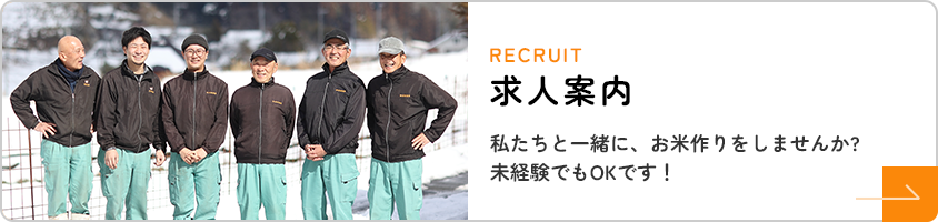求人案内