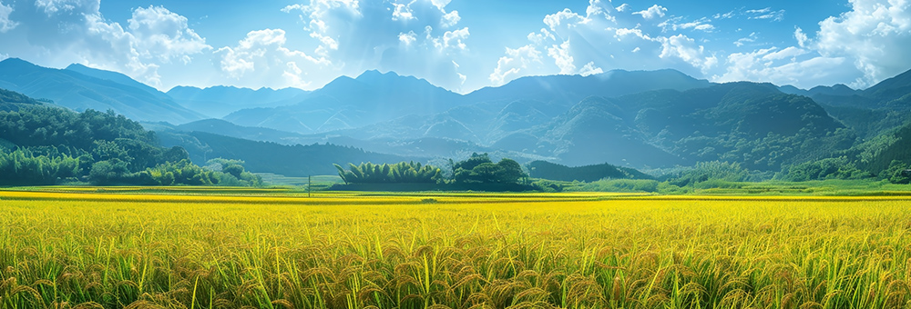 こだわりの栽培方法