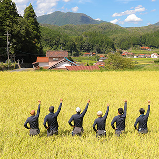 スライダー画像